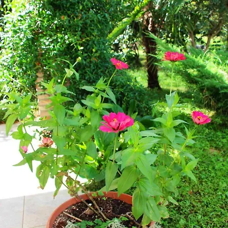 Bed & Breakfast Collegio Dei Palazzi *